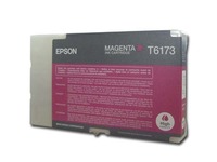 C13T617300